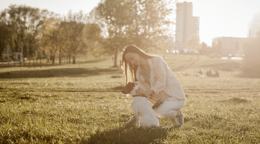 slowly approach the dog park with your pooch