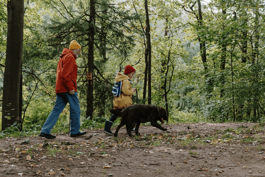 chattanooga dog parks