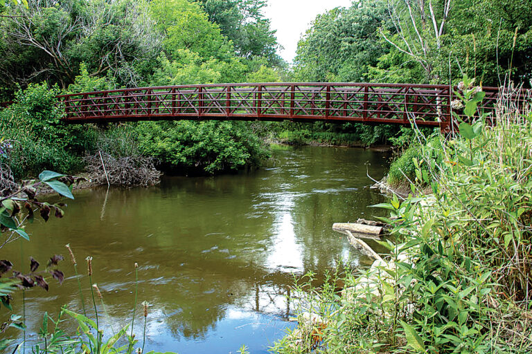 North Clinton River Park Top Dog Parks