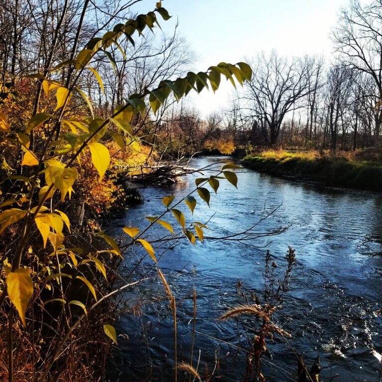 North Clinton River Park - Top Dog Parks