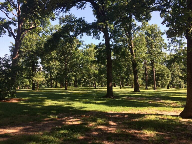 Woodward Park Top Dog Parks