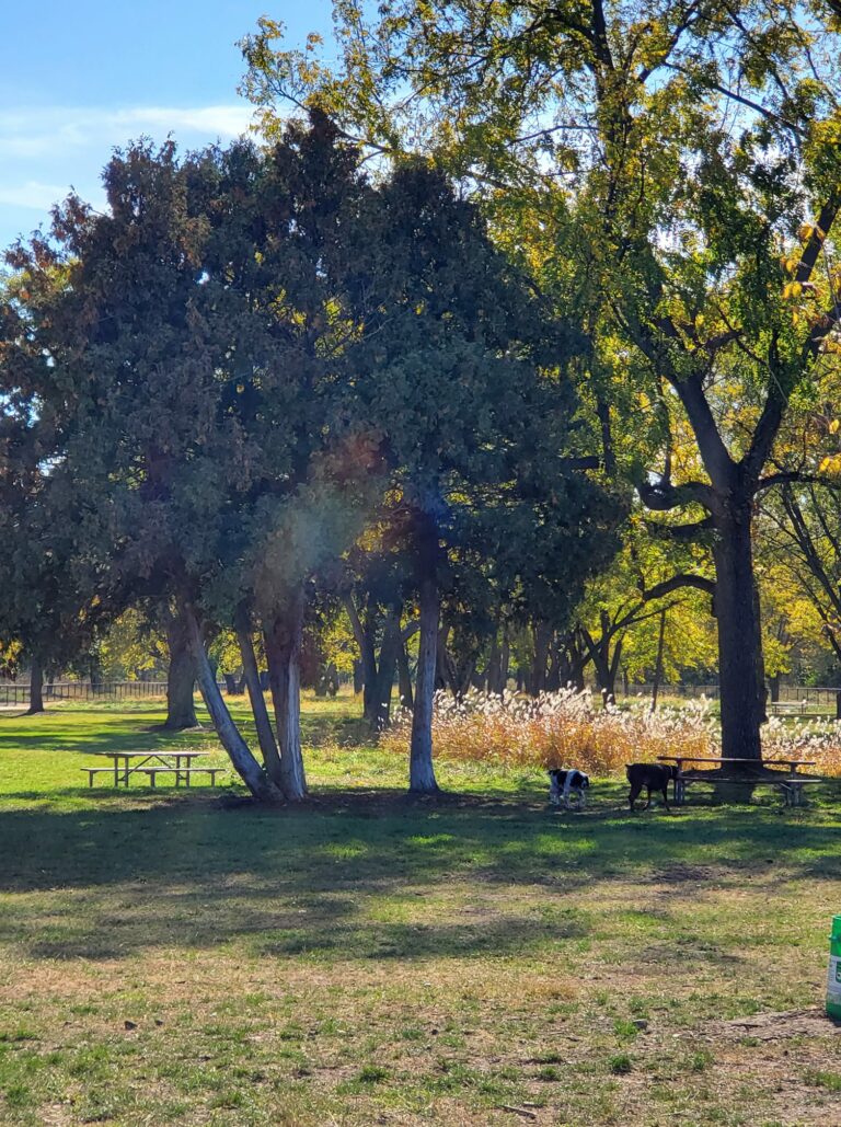 Reno Memorial Dog Park Top Dog Parks