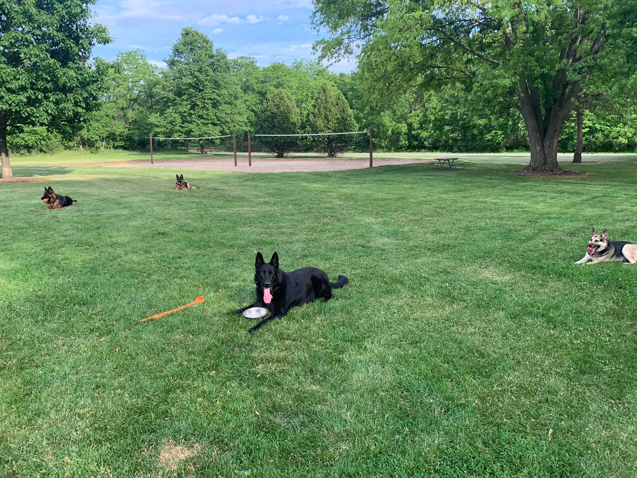 Palmer Park - Top Dog Parks