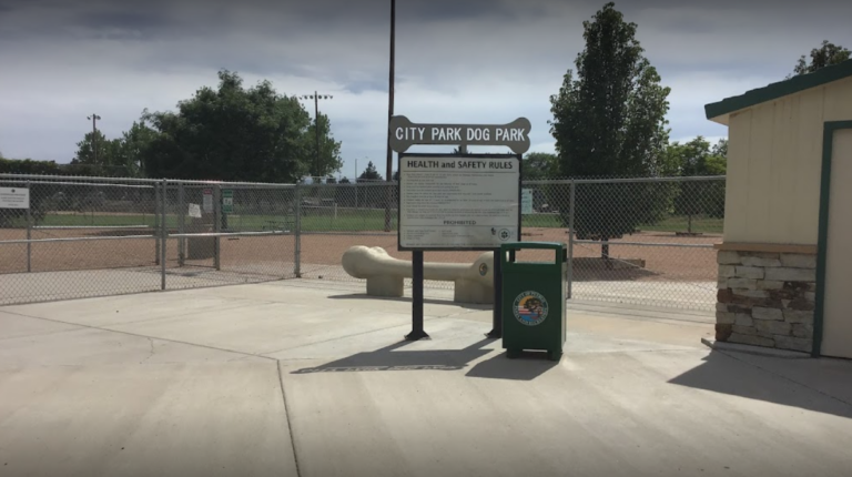 City Park Dog Park1 768x430