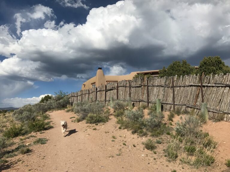 Frank S Ortiz Dog Park2 768x576