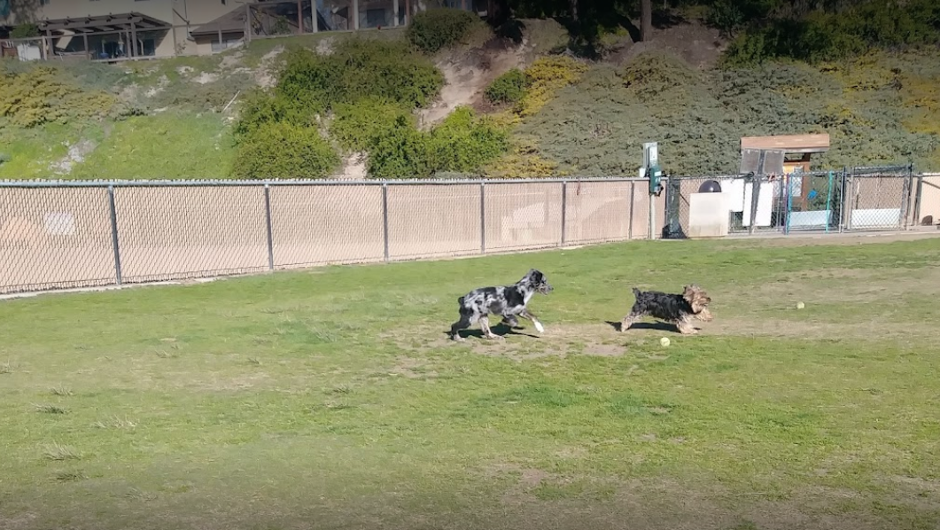 Rancho Penasquitos Linear Dog Park - Top Dog Parks
