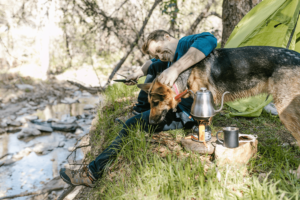 dog-friendly campsites