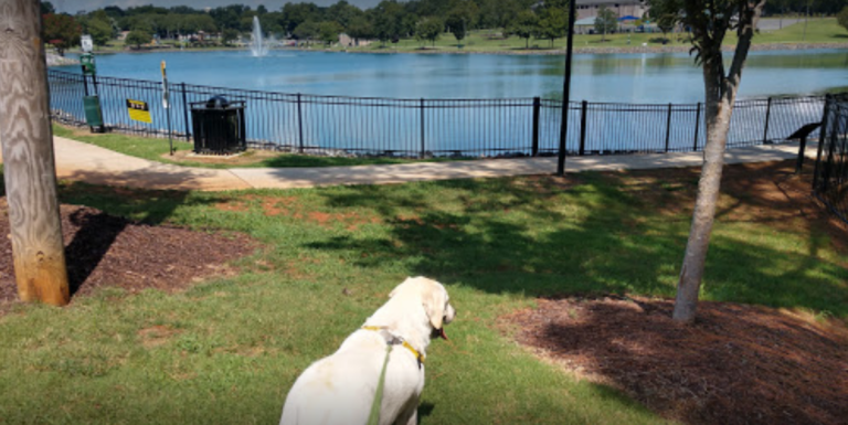 Canine Commons Dog Park Top Dog Parks canine-commons-dog-park-top-dog-parks