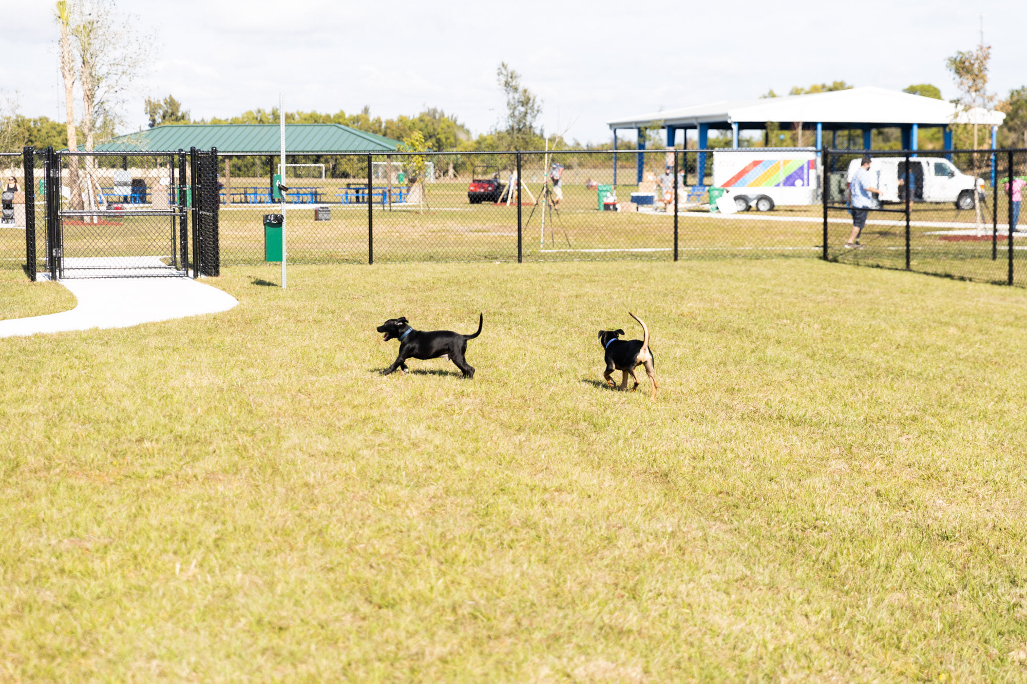 McAllen Dog Park