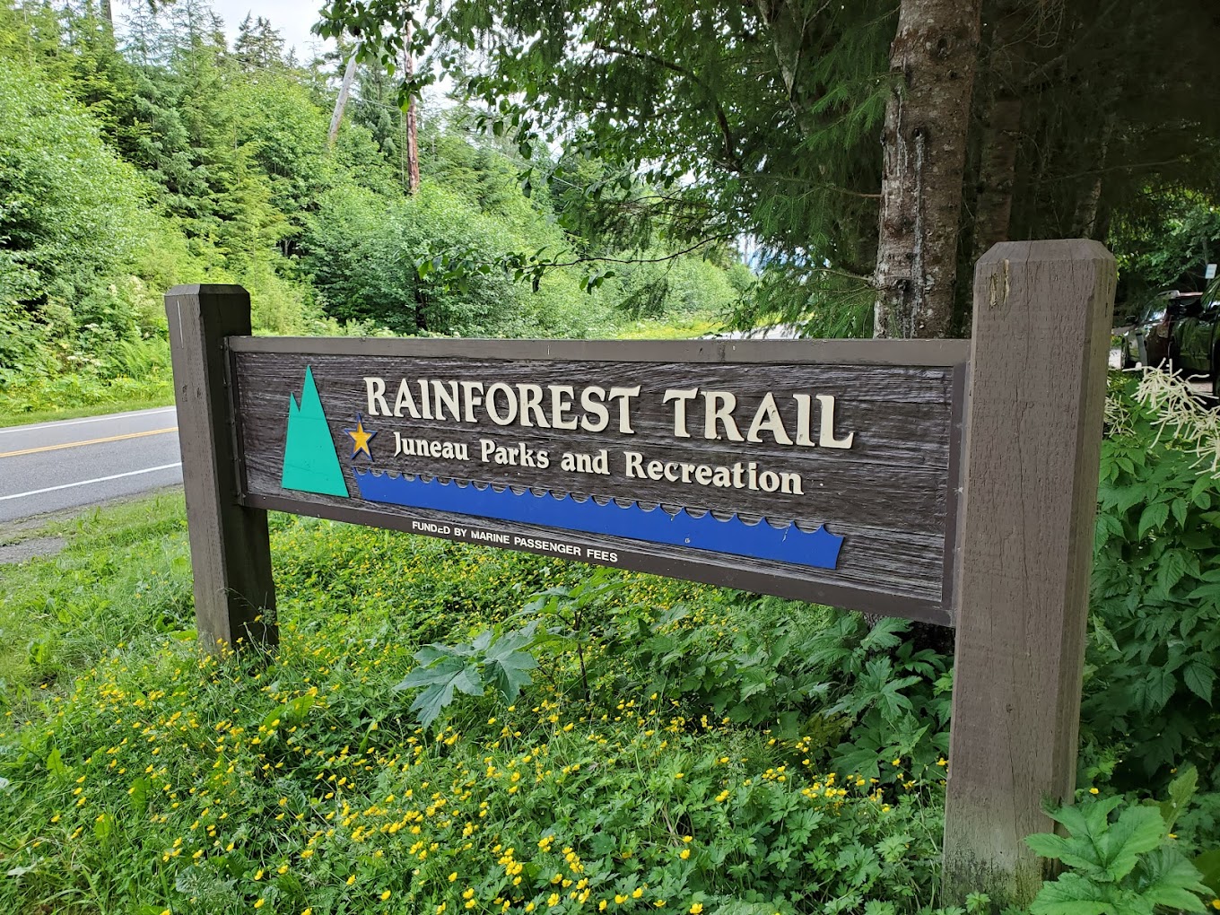 Rainforest Trail Top Dog Parks rainforest-trail-top-dog-parks